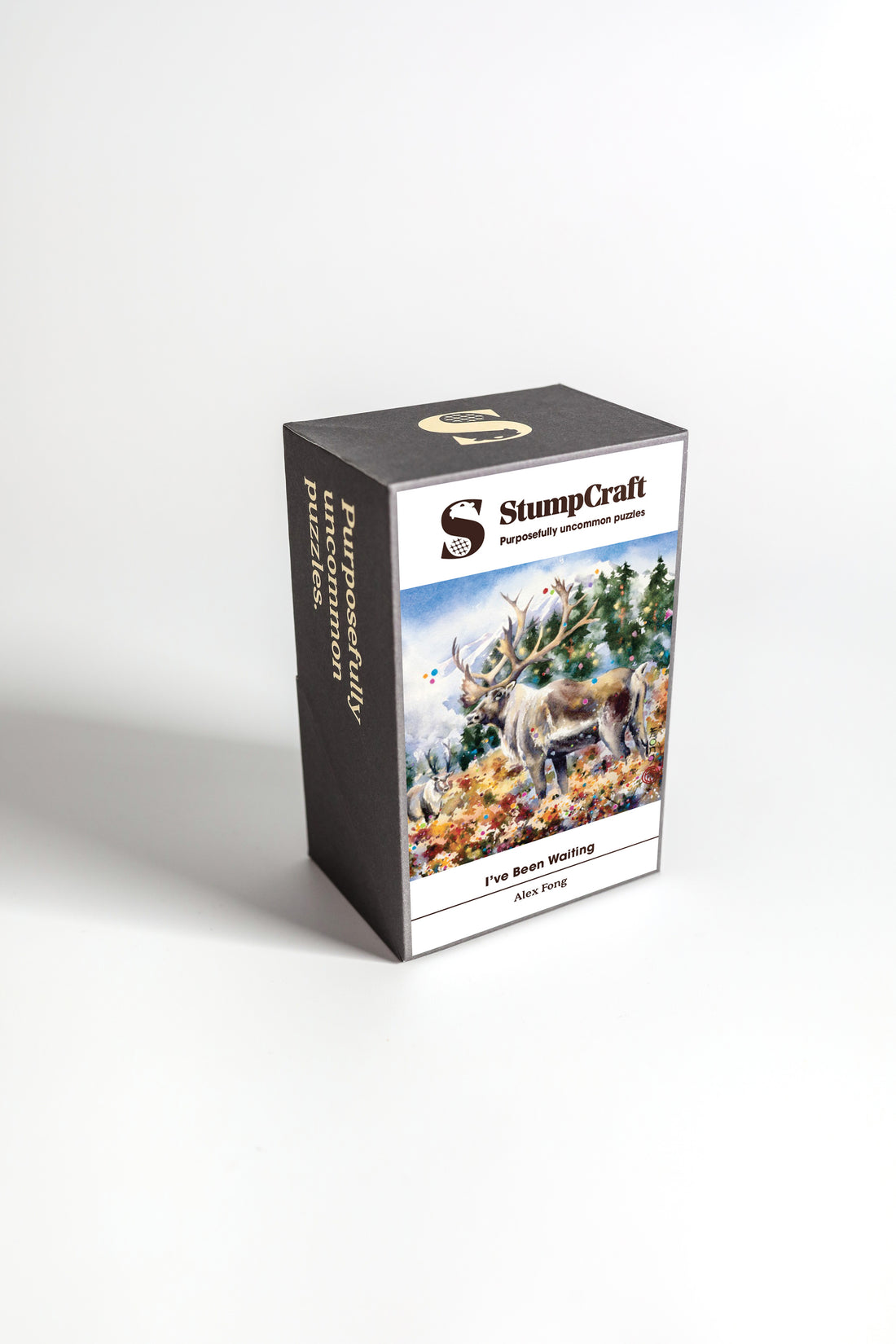 I've Been Waiting by Alex Fong