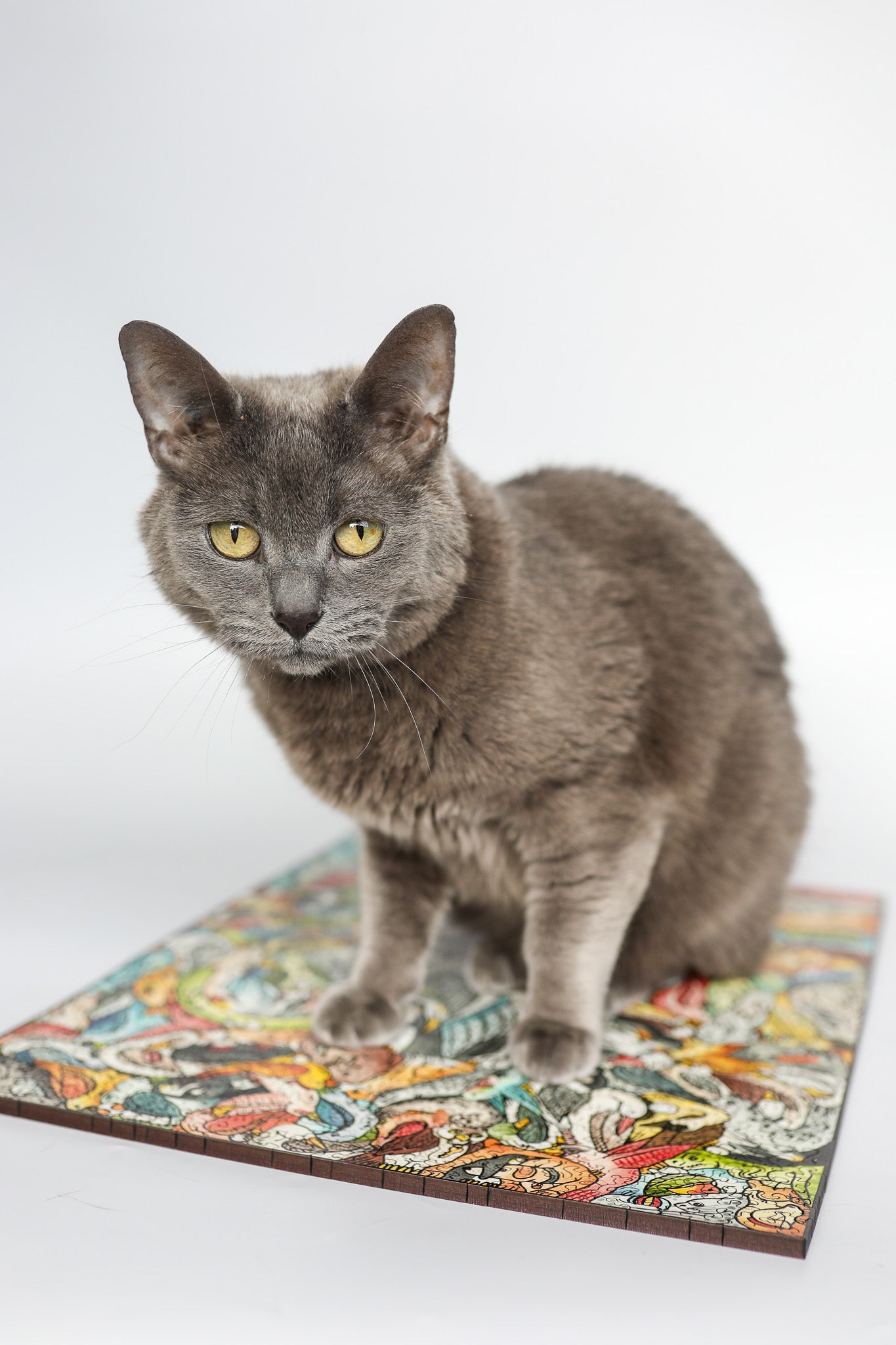 Feline Tessellation by Cedarfell | StumpCraft Wooden Puzzle