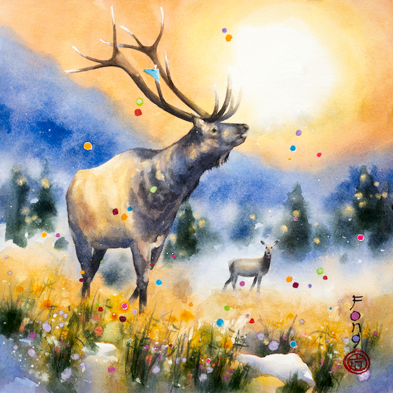 Canadian Wildlife - Flight of Mini Puzzles Vol. 1 – StumpCraft Canadian Wildlife - Flight of Mini Puzzles Vol. 1 – StumpCraft
